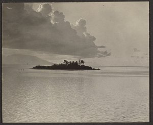 [Island Landscape]