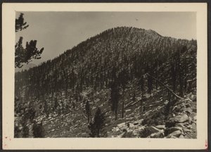 Jean Peak from Trail by Louis Fleckenstein