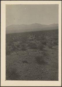 Landscape by Louis Fleckenstein
