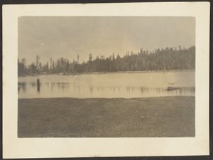Landscape by Louis Fleckenstein