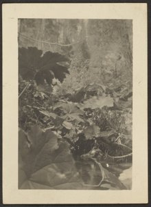 Landscape by Louis Fleckenstein