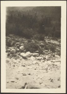 Landscape by Louis Fleckenstein