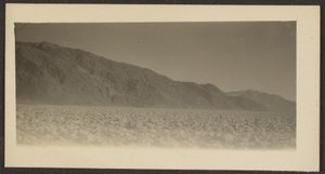 Landscape by Louis Fleckenstein