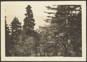 Landscape by Louis Fleckenstein