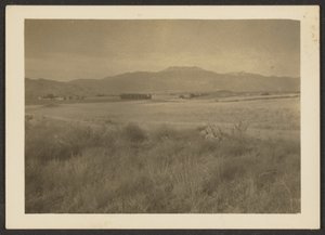 Landscape