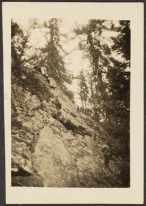 Landscape by Louis Fleckenstein