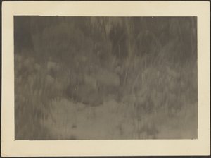 Landscape by Louis Fleckenstein