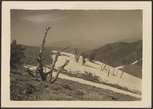 Landscape by Louis Fleckenstein