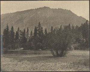 Landscape with Rock Cliffs by Louis Fleckenstein