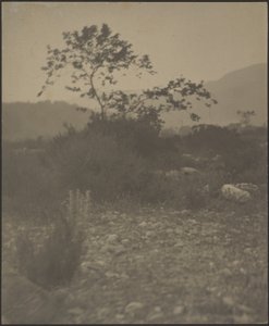 Rocky Landscape