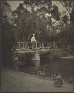 Rustic Bridge by Louis Fleckenstein