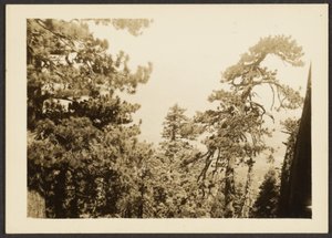 Santa Rosa Peak by Louis Fleckenstein
