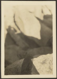 Shoe on Rocks by Louis Fleckenstein