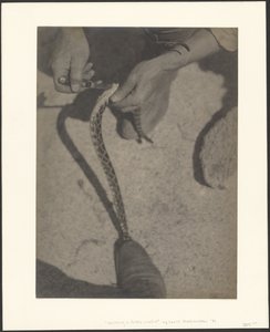Skinning a Rattlesnake by Louis Fleckenstein