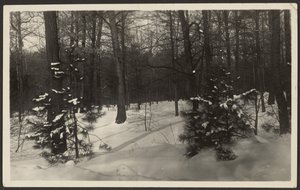 Snowy Landscape by Louis Fleckenstein
