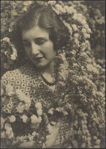Spirea by Louis Fleckenstein