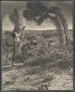 The Benediction by Louis Fleckenstein