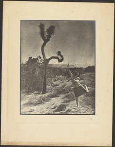 The Corkscrew Twist by Louis Fleckenstein