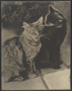 The Serenaders by Louis Fleckenstein