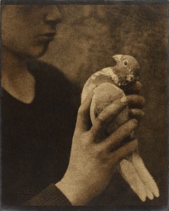 The Weary Messenger by Louis Fleckenstein