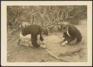 Two Men and Cactus by Louis Fleckenstein