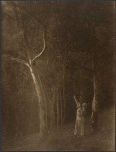 Woman Praying Amidst Trees