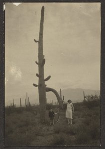 Woman and Child with Cactus by Louis Fleckenstein