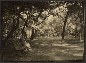 Woman in a Park by Louis Fleckenstein