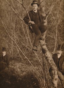 Man Sat in a Tree by Louis Guichard