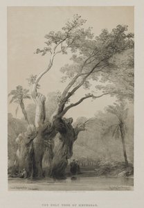 Egypt and Nubia, Volume III: The Holy Tree of Metereah by Louis Haghe