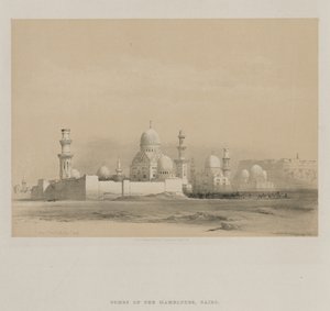 Tombs of the Memlooks, Cairo, 1849 by Louis Haghe