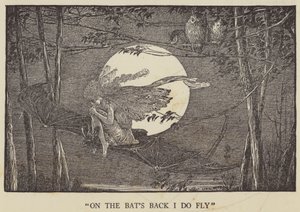 On the bat