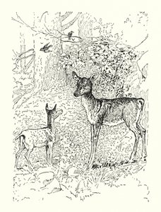 The Fawn and His Mother by Louis John Rhead