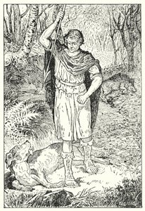 The Old Hound