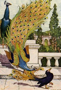 The Peacock and the Magpie