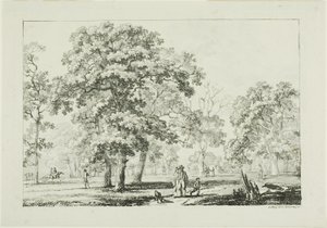 People Walking in a Wood