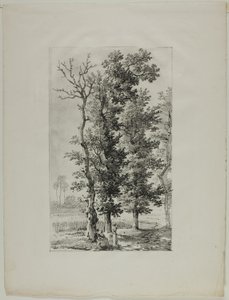Study of Trees