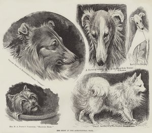 Dog Show at the Agricultural Hall by Louis Wain