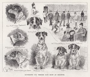Southdown Fox Terrier Club Show at Brighton by Louis Wain