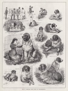 The St Bernard Club