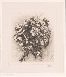 Flower Still Life with Poppies and Anemones