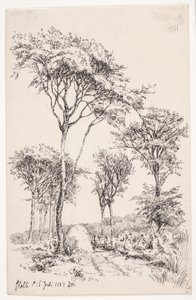 Forest Landscape with Freestanding Trees by Louise Ravn Hansen