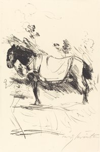 Riding-Horse, 1916