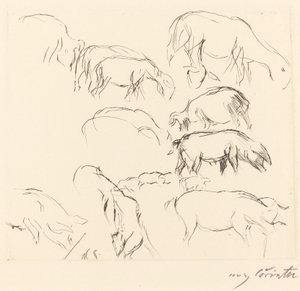 Animal Studies by Lovis Corinth