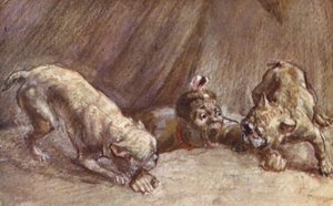 Illustration for the Life of HM Stanley