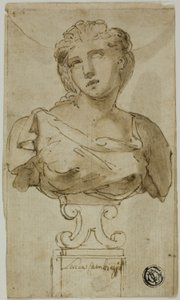 Bust of a Woman