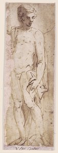 Youth with a Mantle Standing in a Niche by Luca Cambiaso