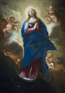 The immaculate conception