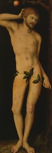 Adam by Lucas Cranach the Elder