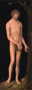 Adam by Lucas Cranach the Elder